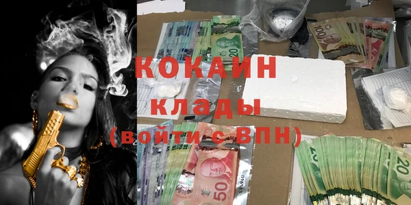 тгк Михайлов
