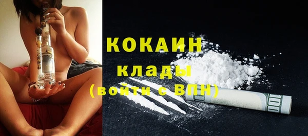 тгк Михайлов