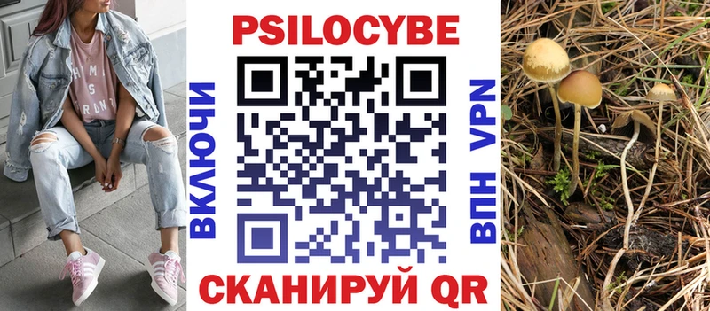 где можно купить наркотик  Барнаул  Галлюциногенные грибы Magic Shrooms 